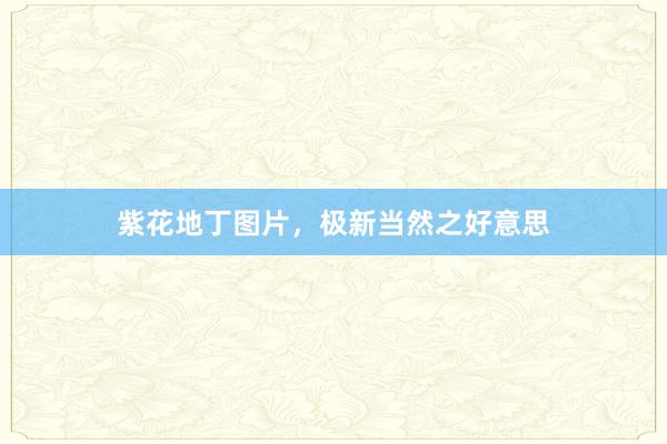 紫花地丁图片，极新当然之好意思