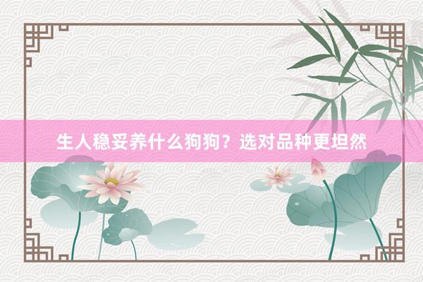生人稳妥养什么狗狗？选对品种更坦然