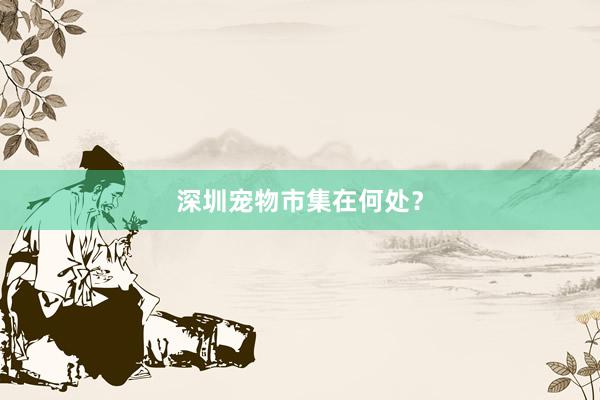 深圳宠物市集在何处？
