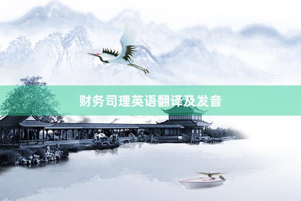 财务司理英语翻译及发音